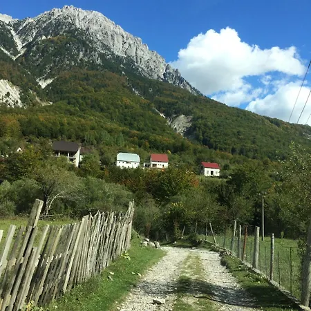 Gale * Polisi i Vogel